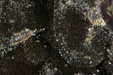 Septarian Dragon Egg Geode - Black Crystals #98874-3